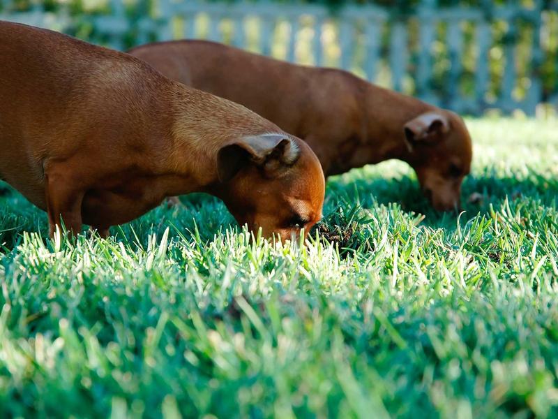 sudoku hint feature screenshot 3